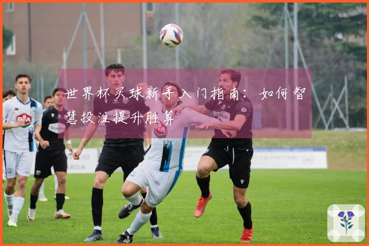 世界杯买球新手入门指南：如何智慧投注提升胜算