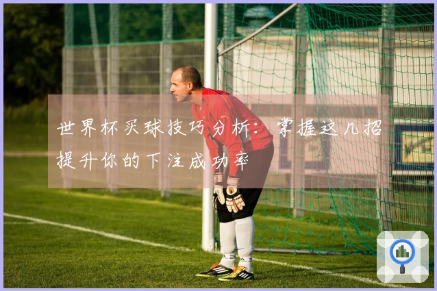 世界杯买球技巧分析：掌握这几招提升你的下注成功率