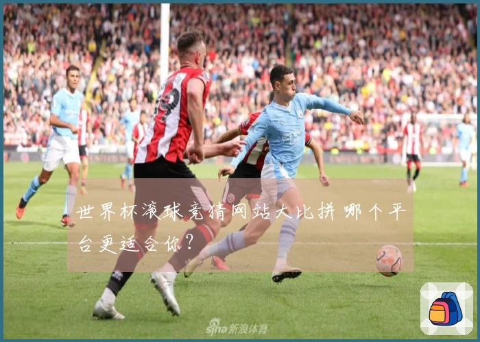世界杯滚球竞猜网站大比拼 哪个平台更适合你？