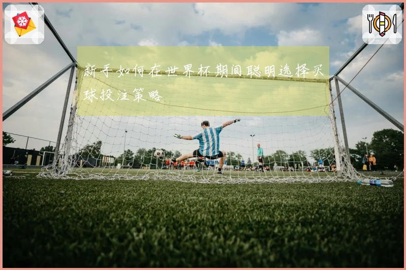 新手如何在世界杯期间聪明选择买球投注策略