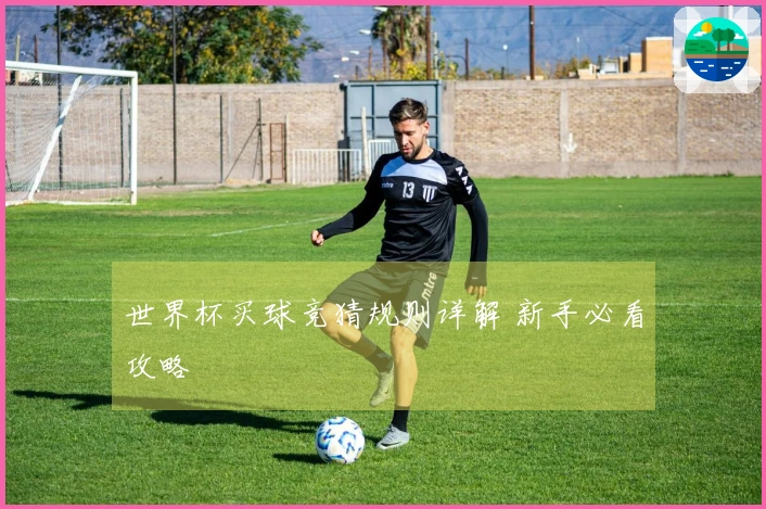 世界杯买球竞猜规则详解 新手必看攻略