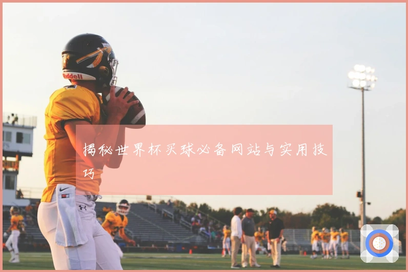 揭秘世界杯买球必备网站与实用技巧