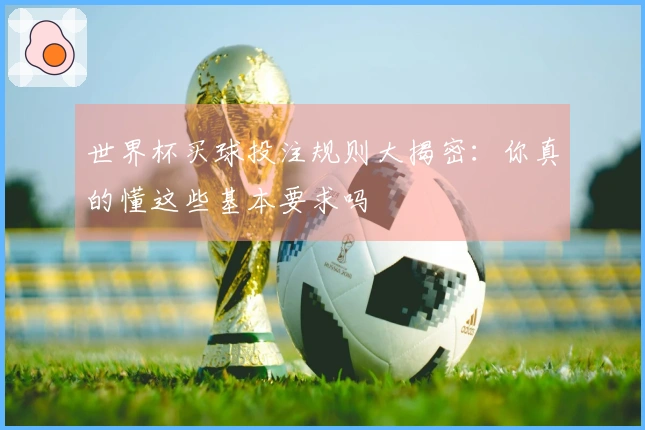世界杯买球投注规则大揭密：你真的懂这些基本要求吗