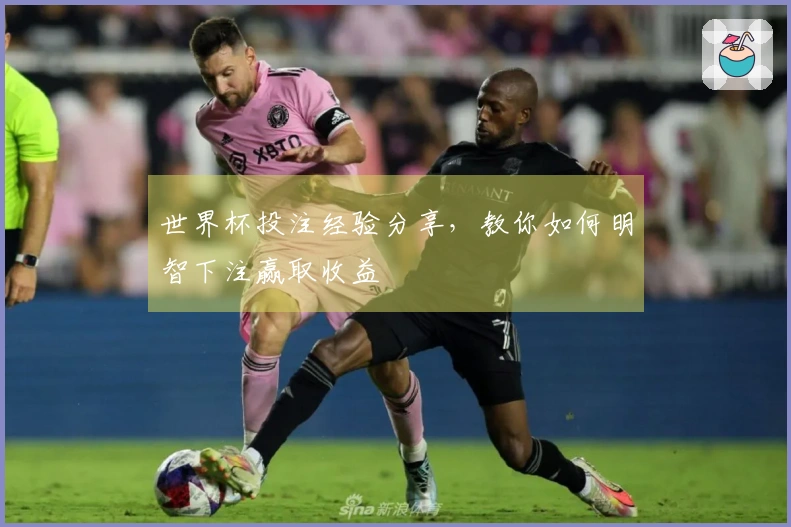 世界杯投注经验分享，教你如何明智下注赢取收益
