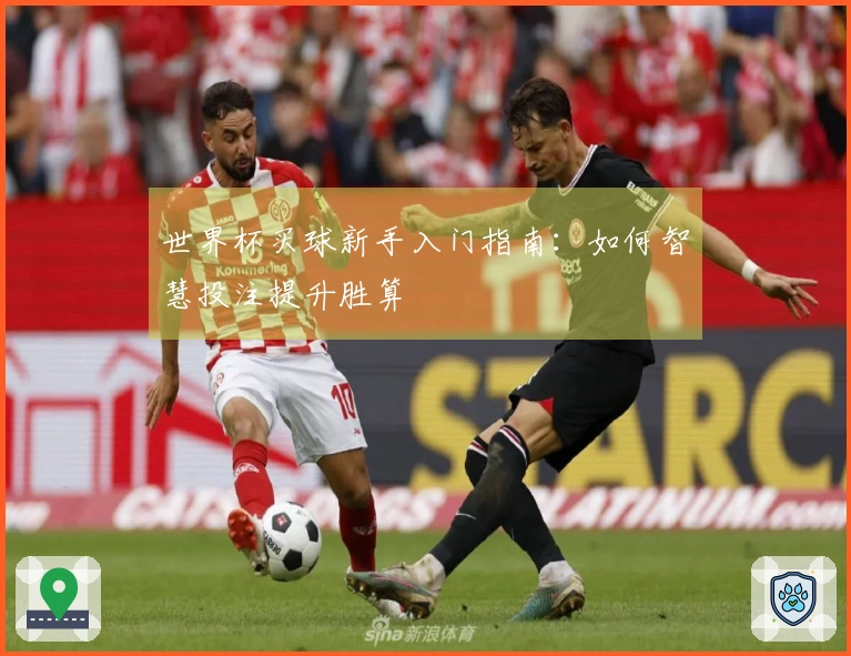 世界杯买球新手入门指南：如何智慧投注提升胜算