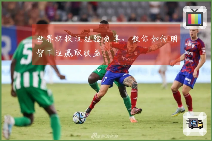 世界杯投注经验分享，教你如何明智下注赢取收益