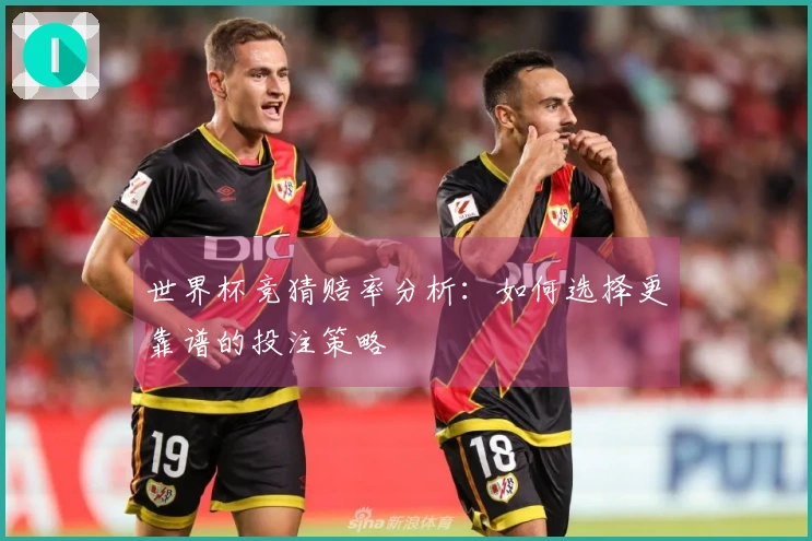 世界杯竞猜赔率分析：如何选择更靠谱的投注策略