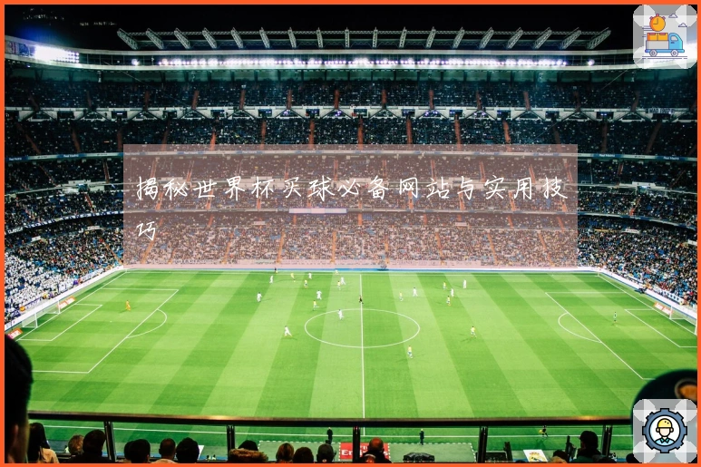 揭秘世界杯买球必备网站与实用技巧