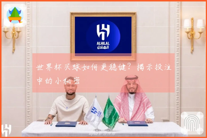 世界杯买球如何更稳健？揭示投注中的小秘密