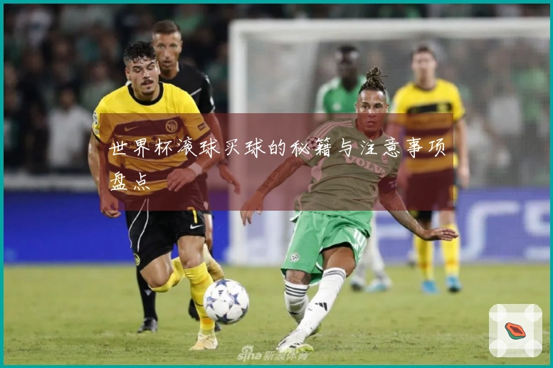 世界杯滚球买球的秘籍与注意事项盘点